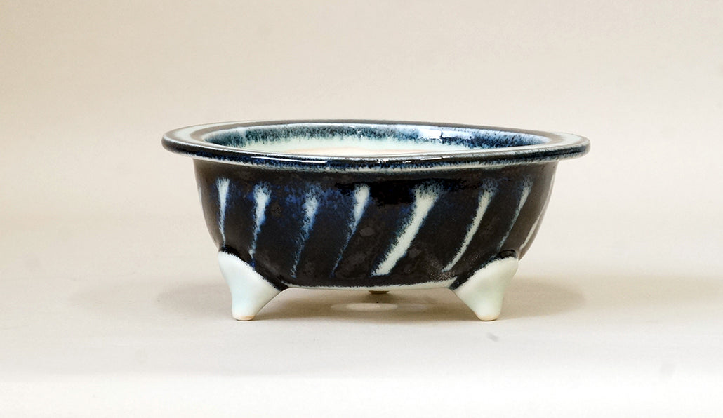 Shallow Round Painting Bonsai Pot by Yuka Y033 +++ Shipping Free