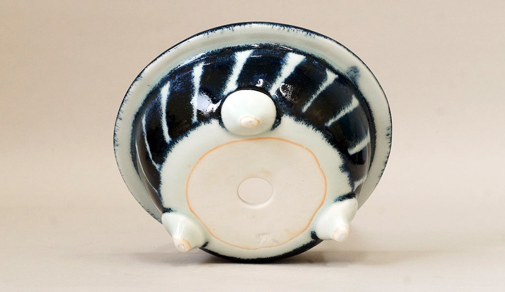 Shallow Round Painting Bonsai Pot by Yuka Y033 +++ Shipping Free