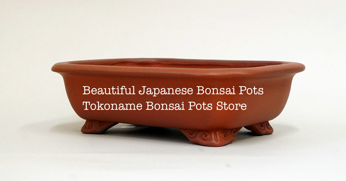 Beautiful Japanese Bonsai Pots Tokoname Bonsai Pots Store YUKIMONO