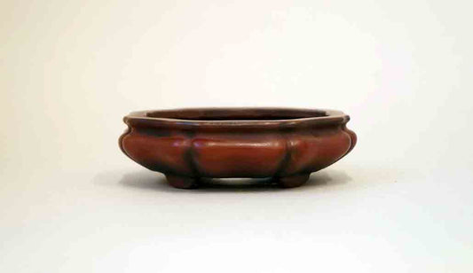 Flower Shaped Bonsai Pot by Bigei +++ Shipping Free