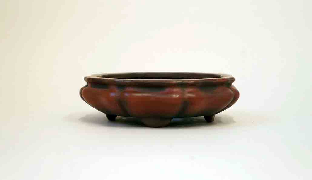 Flower Shaped Bonsai Pot by Bigei +++ Shipping Free