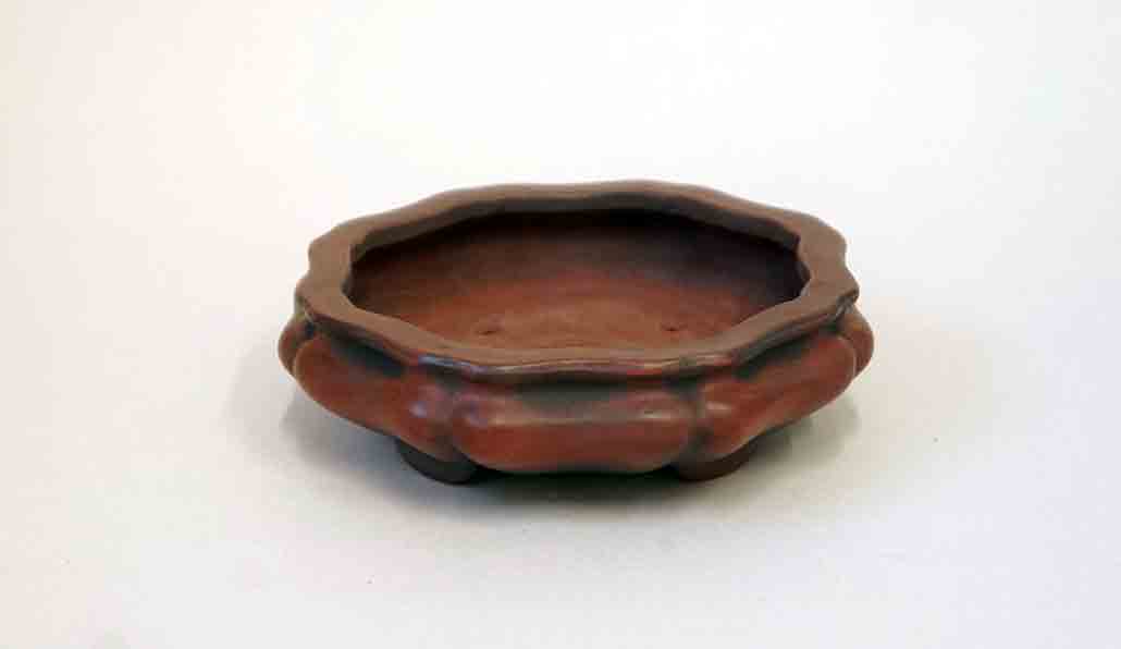 Flower Shaped Bonsai Pot by Bigei +++ Shipping Free