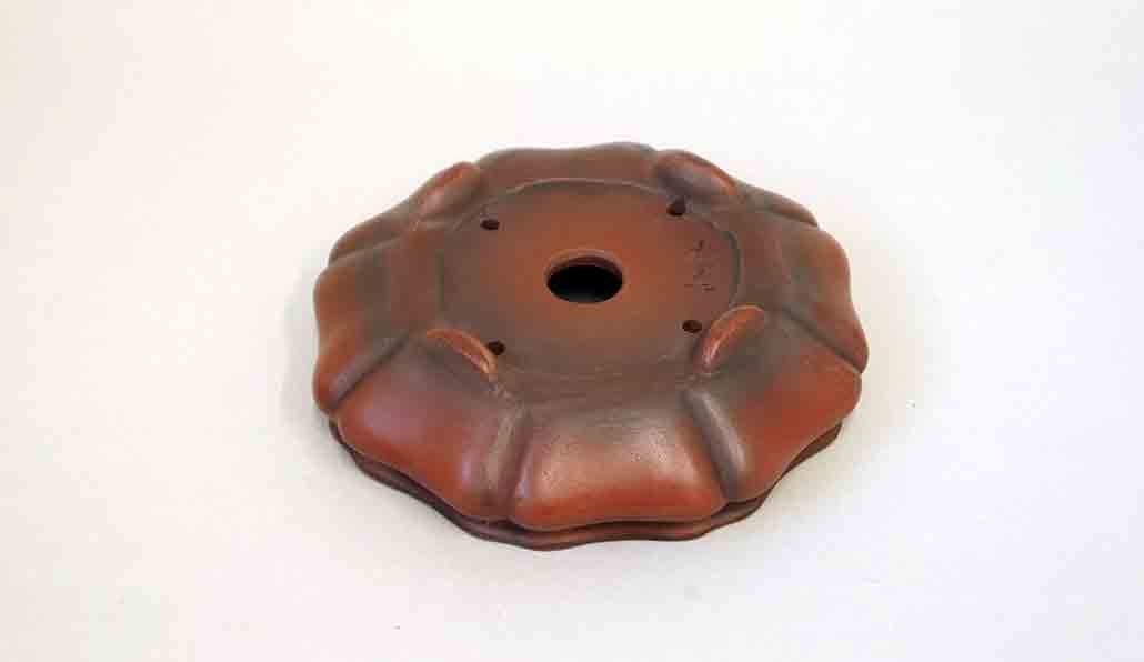 Flower Shaped Bonsai Pot by Bigei +++ Shipping Free