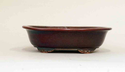 Eimei Shinsya Glazed Bonsai Pot with Rim, 7.8 Inch +++Shipping Free