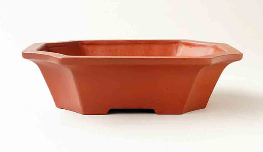 Ikko Unglazed Bonsai Pot in shudei (vermilion clay) 7.3"(18.6cm)