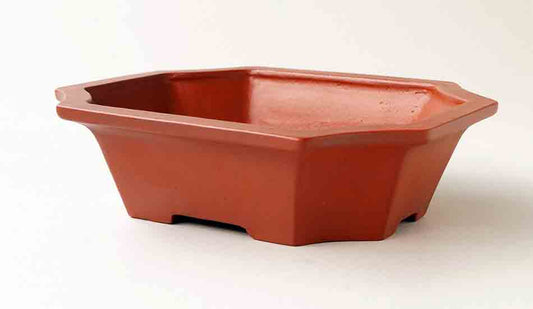 Ikko Unglazed Bonsai Pot in shudei (vermilion clay) 7.3"(18.6cm)