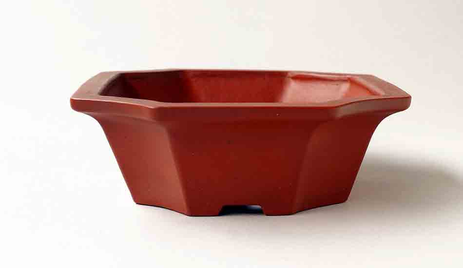 Ikko Unglazed Bonsai Pot in shudei (vermilion clay) 7.3"(18.6cm)
