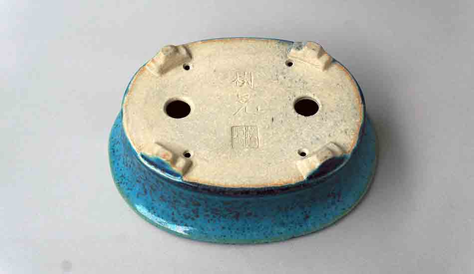 Juko Oval Bonsai Pot in Blue Oribe Glaze