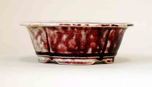 Juko Mokko Shaped Bonsai Pot with Shinsya Glaze +++Shipping Free