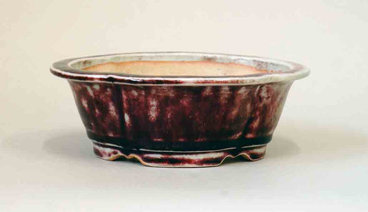 Juko Mokko Shaped Bonsai Pot with Shinsya Glaze +++Shipping Free