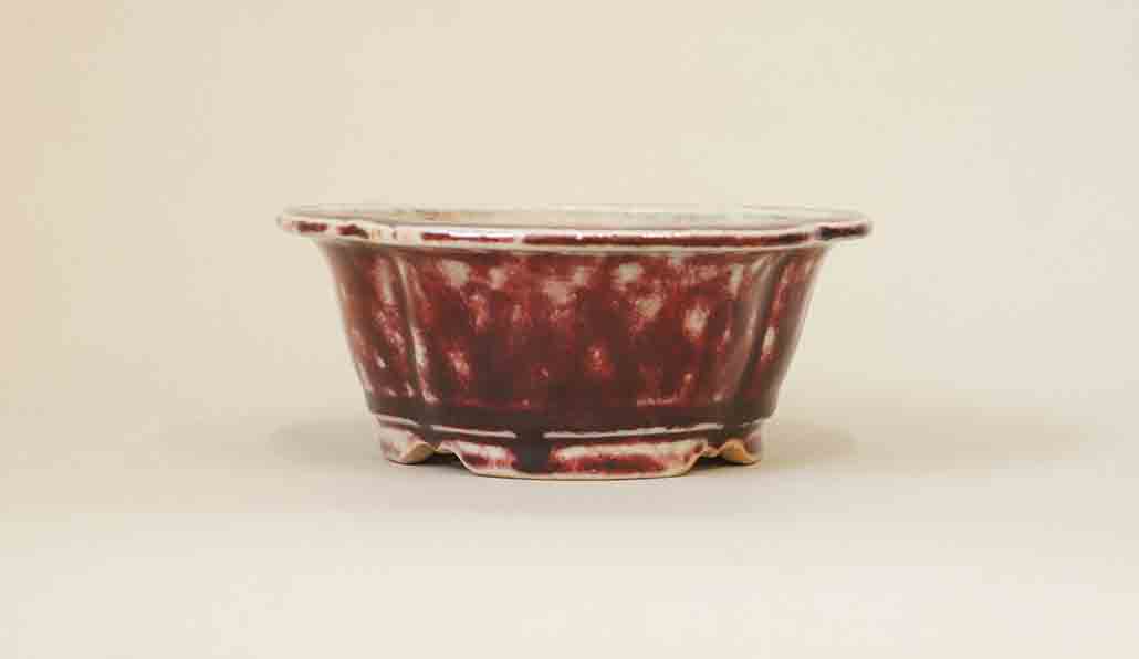 Juko Mokko Shaped Bonsai Pot with Shinsya Glaze +++Shipping Free