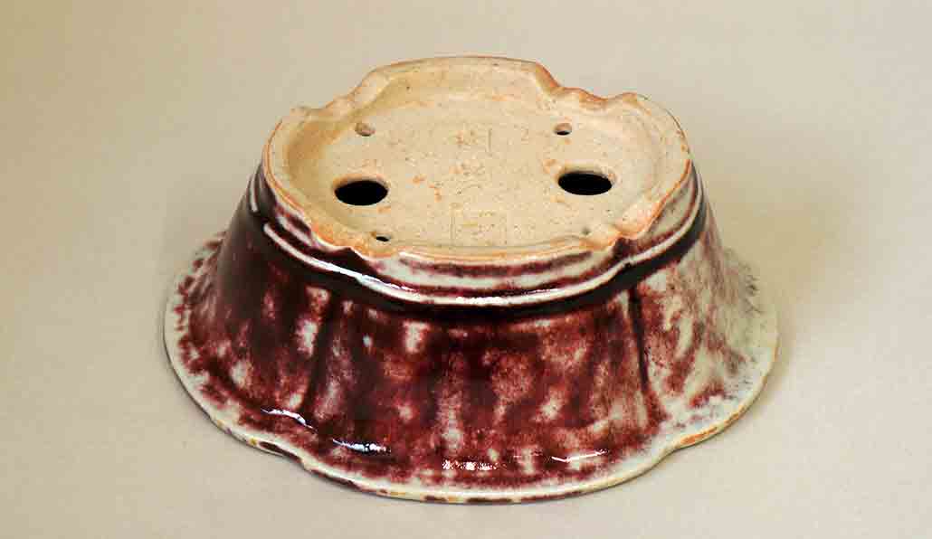 Juko Mokko Shaped Bonsai Pot with Shinsya Glaze +++Shipping Free