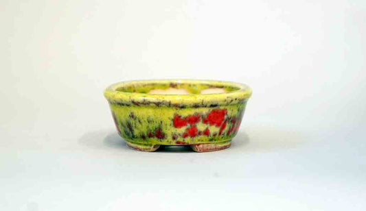 Juko Running Yellow with Red! Oval Bonsai Pot +++Shipping Free