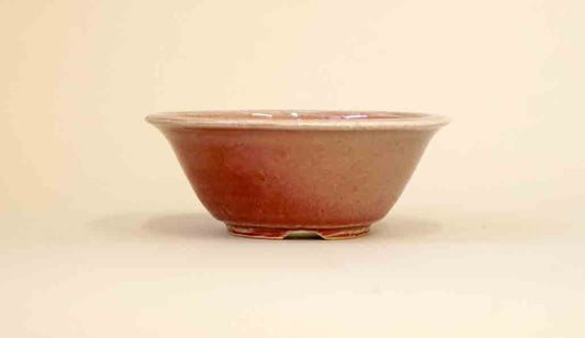 Koyo Round Bonsai Pot in Peach Color Glaze