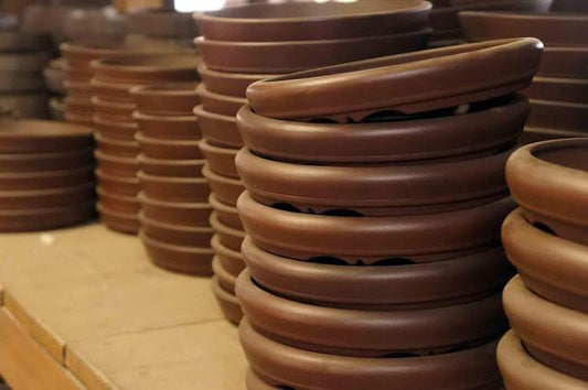 The History of Tokoname Bonsai Pots