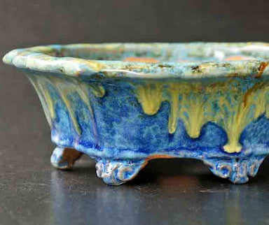 The 'Starry Night' Bonsai pot and other beautiful pieces