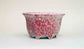 Shuuhou Hexagonal Bonsai Pot in Pink & White Glaze 5" (13cm) +++ Shipping Free