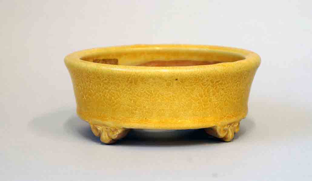 Round Bonsai Pot in Yellow GLaze by Shuuhou 4.7"(12.3cm)+++Shipping Free
