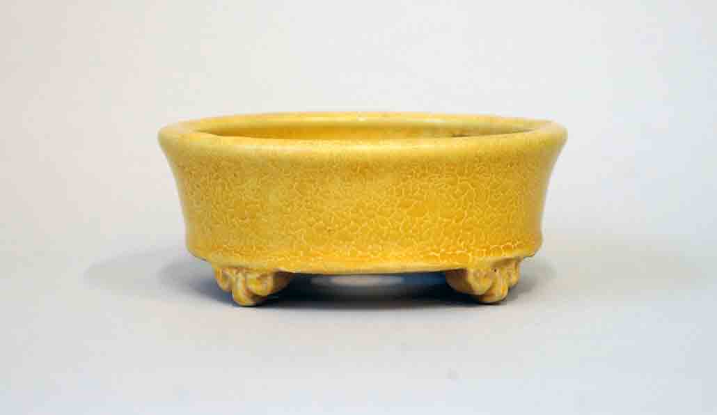 Round Bonsai Pot in Yellow GLaze by Shuuhou 4.7"(12.3cm)+++Shipping Free