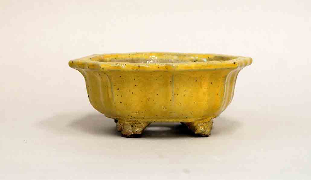 Octagonal Bonsai Pot in Yellow Glaze by Shuuhou 4.7"(12cm) +++Shipping Free