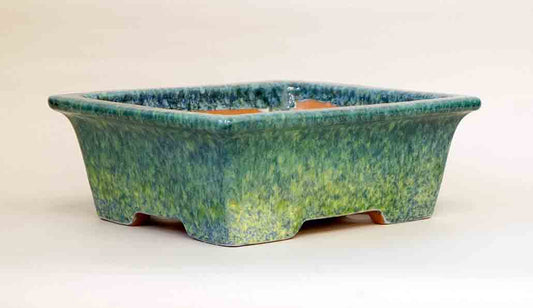 Rectangle Bonsai Pot with Rim in Blue, Green & Yellow Glaze by Shuuhou 9.7"(24.8cm)