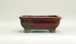 Shinsya Glazed Rectangle  Bonsai Pot by Shuuhou 6.8"(17.5cm) +++ Shipping Free