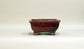 Shinsya Glazed Rectangle  Bonsai Pot by Shuuhou 6.8"(17.5cm) +++ Shipping Free