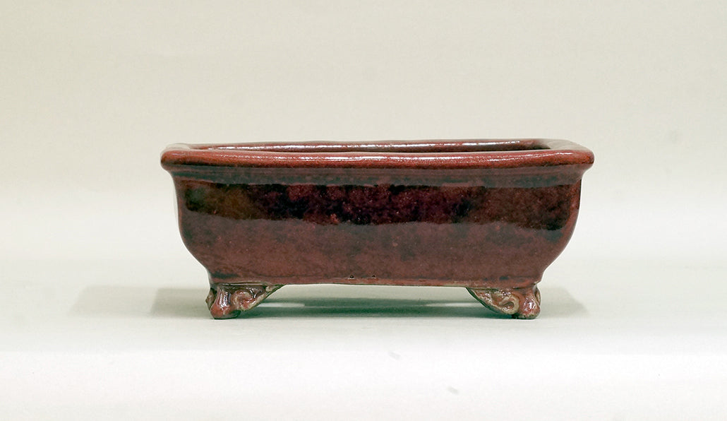 Shinsya Glazed Rectangle  Bonsai Pot by Shuuhou 6.8"(17.5cm) +++ Shipping Free