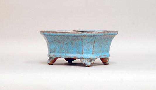 Shuuhou Rectangle Bonsai Pot with Sky Blue Glaze 5.5"(14cm) +++ Shipping Free