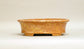 Shuuhou Oval Bonsai Pot in Orange Glaze 7.4"(19cm) +++ Shipping Free