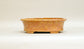 Shuuhou Oval Bonsai Pot in Orange Glaze 7.4"(19cm) +++ Shipping Free