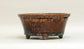 Shuuhou Round Bonsai Pot in Aventurine Glaze 7.2"(18.3cm) +++ Shipping Free