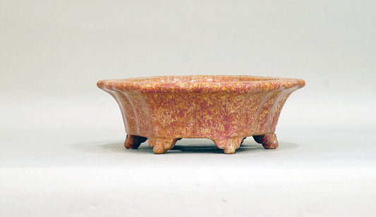 Octagonal Bonsai Pot in Orange & Pink Glaze by Shuuhou  7.2"(18.5cm)+++ Shipping Free