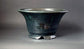 Deep Green! Round Bonsai Pot By Shuuhou 11.8"(30cm)   S578