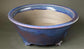 Vivid Blue Bonsai Pot with Red Accents by Shuuhou 12.2"(31.2cm) S580
