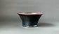 Deep Green Bonsai Pot with Red Accents by Shuuhou 7.2"(18.5cm) S581 +++ Shipping Free　