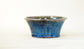 Running Blue! Bonsai Pot with Red Accents by Shuuhou 7.2"(18.5cm) S586 +++ Shipping Free　