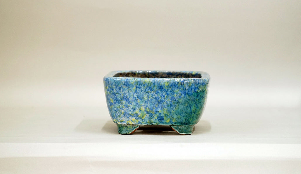 Bonsai Pot with Flowing Green Glaze by Shuuhou 7"(17.8cm) S587 +++ Shipping Free　