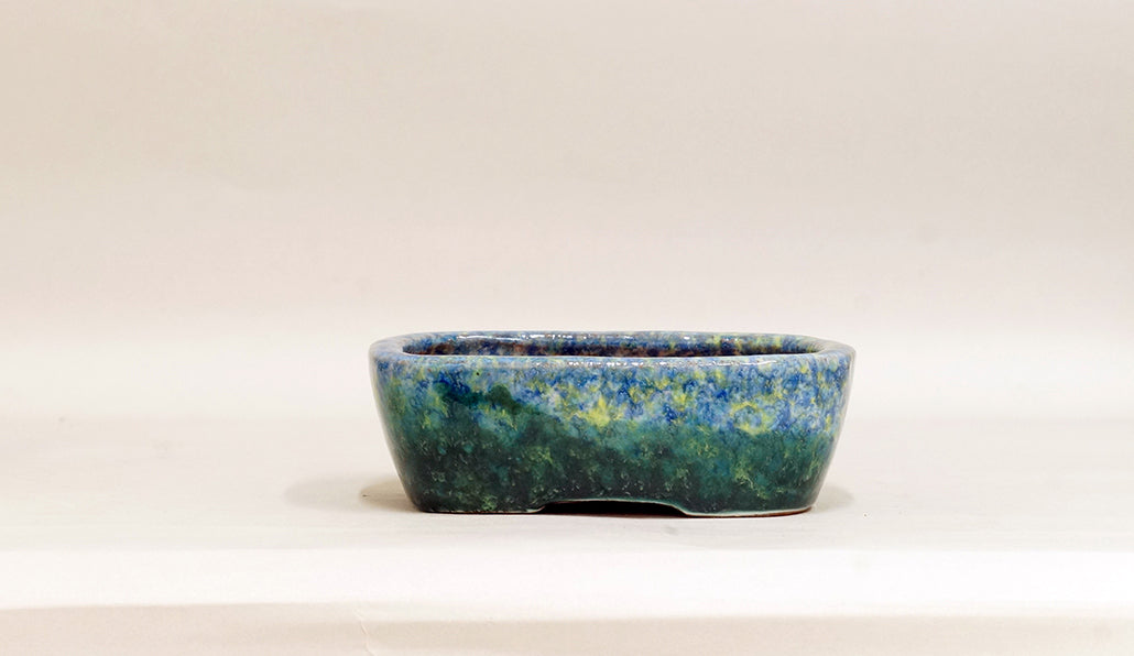 Rectangle Bonsai Pot by Shuuhou 6.1"(15.5cm) S588 +++Shipping Free