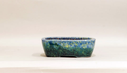Rectangle Bonsai Pot by Shuuhou 6.1"(15.5cm) S588 +++Shipping Free