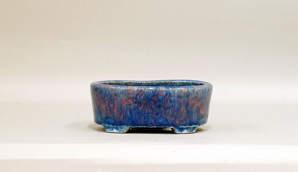 Oval Bonsai Pot by Shuuhou 5.7"(14.5cm) S592 +++Shipping Free