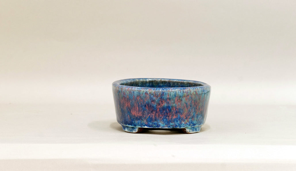 Oval Bonsai Pot by Shuuhou 5.7"(14.5cm) S592 +++Shipping Free