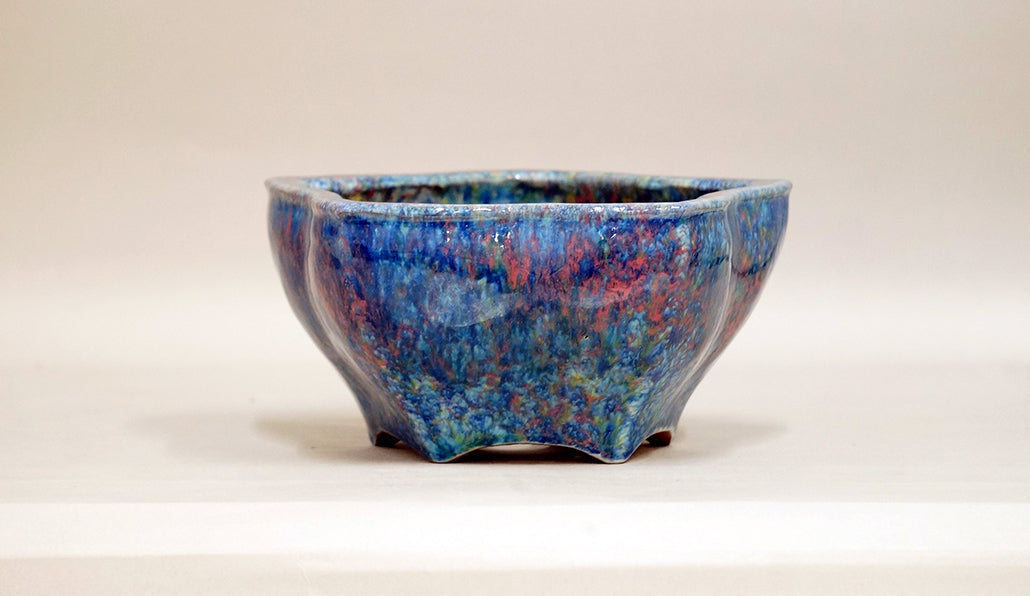 Bellflower Shaped Bonsai Pot by Shuuhou 6.9"(17.5cm) S596 +++ Shipping Free