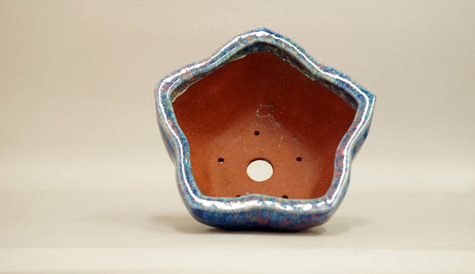 Bellflower Shaped Bonsai Pot by Shuuhou 6.9"(17.5cm) S596 +++ Shipping Free