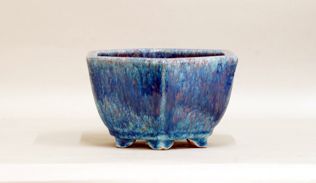 Hexagonal Bonsai Pot by Shuuhou 7.3"(18.5cm) S597 +++ Shipping Free