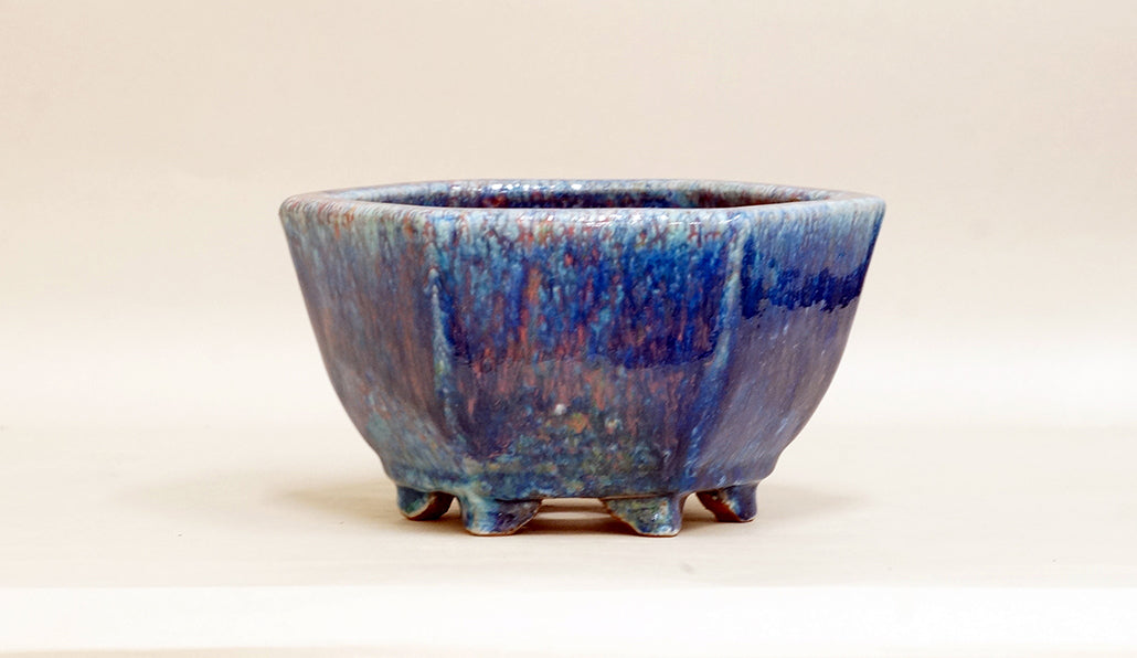 Hexagonal Bonsai Pot by Shuuhou 7.3"(18.5cm) S597 +++ Shipping Free