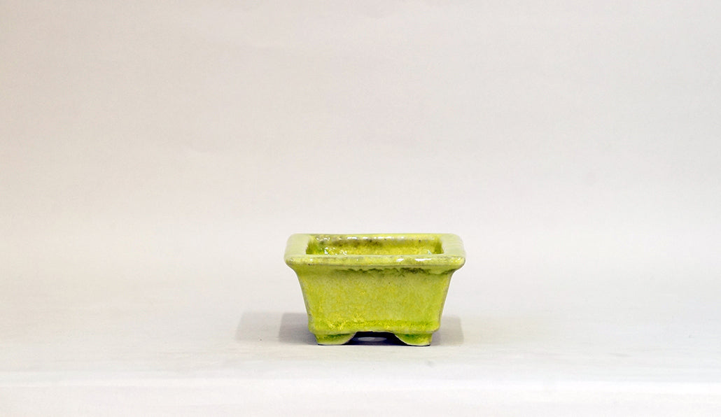 Rectangle Bonsai Pot with Light Yellow by Shuuhou  5.3"(13.4cm) S599 +++ Shipping Free