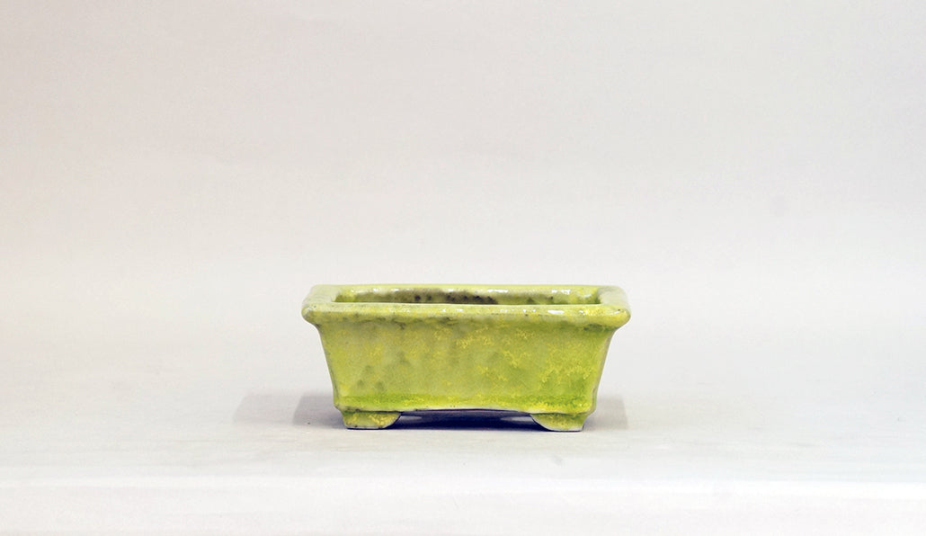 Rectangle Bonsai Pot with Light Yellow by Shuuhou  5.3"(13.4cm) S599 +++ Shipping Free