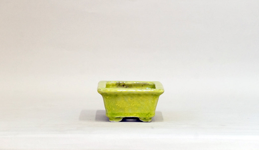 Rectangle Bonsai Pot with Light Yellow by Shuuhou  5.3"(13.4cm) S599 +++ Shipping Free