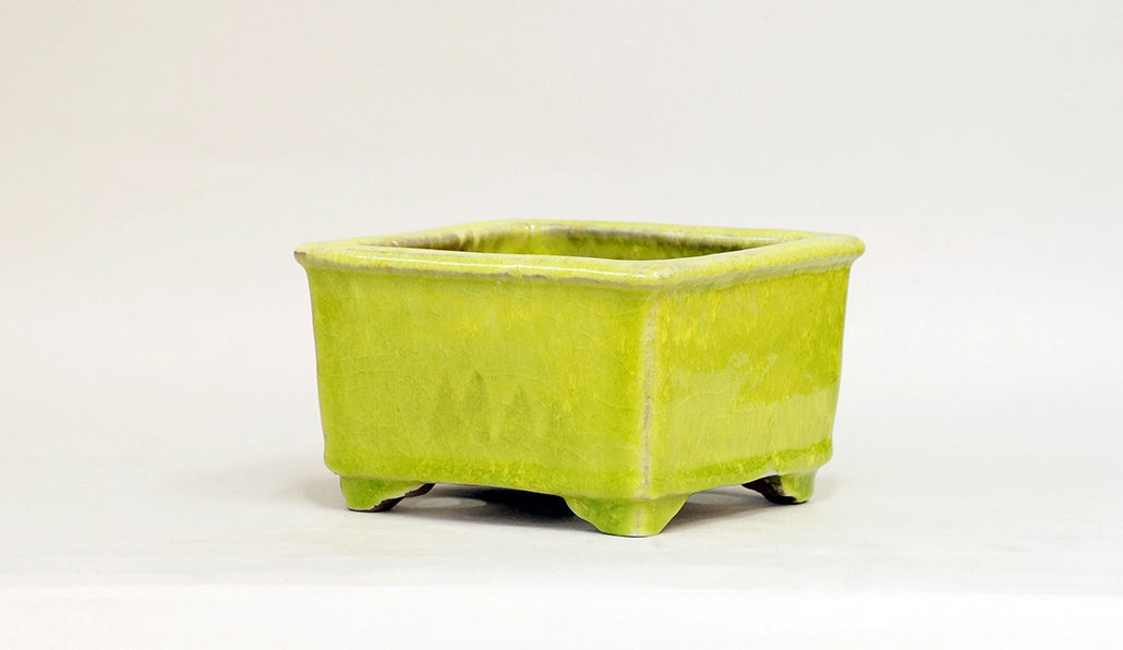 Square Bonsai Pot with Light Yellow by Shuuhou 5.43"(13.8cm) S600